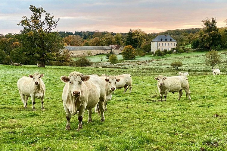 Domaine du Tirondet - SANNAT