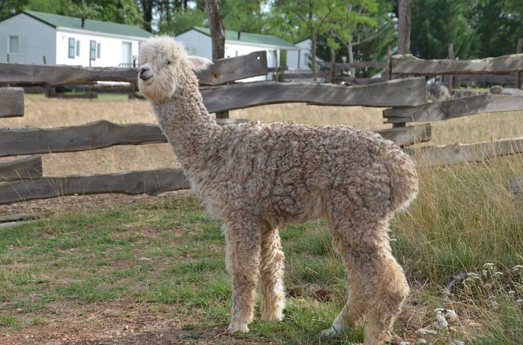 la-ferme-des-vergnes-2