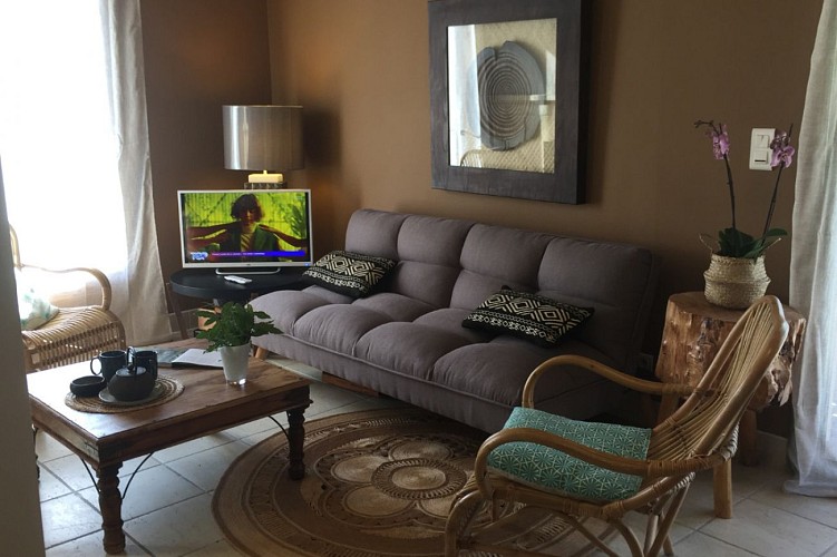 gite ELEGANT-VERDIER (9)