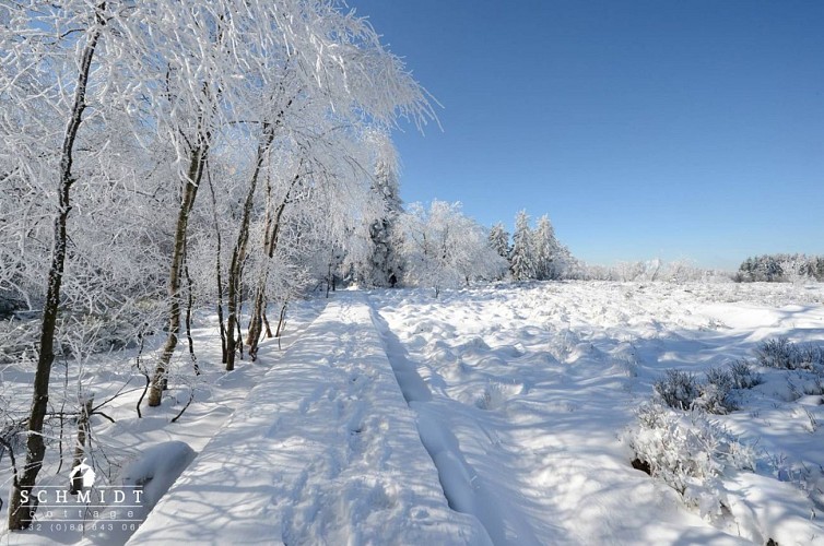 Wirtzfeld ferienwohung schmidt cottage 09 c schmidt cottage