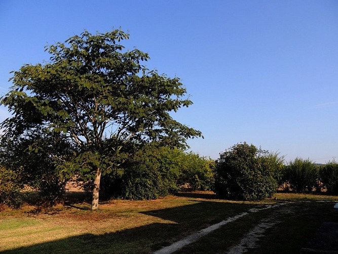 DSCN0253- Le Mouscard (2) (3)