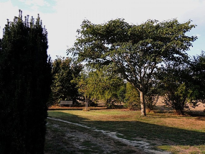 HLO_Le Mouscard_extérieur 2_St Chamassy