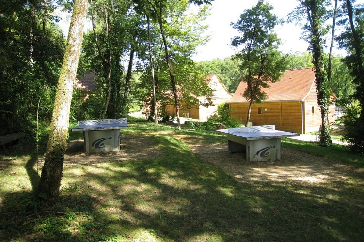 MONDAMERT-CLV24--20-