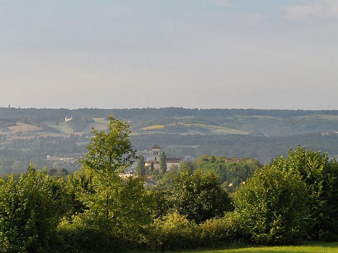 Domaine du Roc - Montagrier (4)