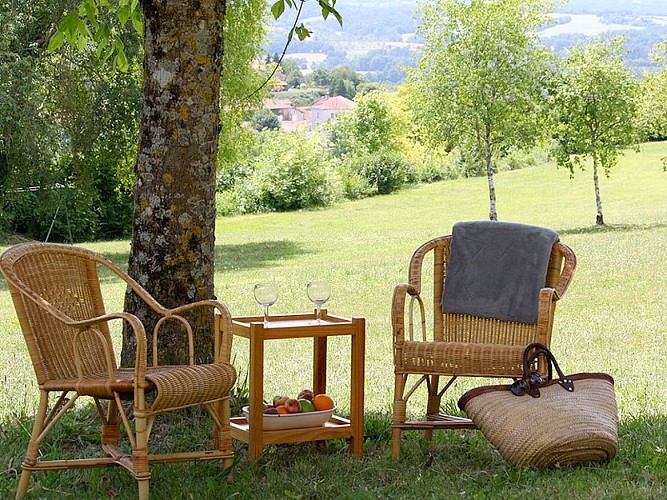 Domaine du Roc - Montagrier (6)