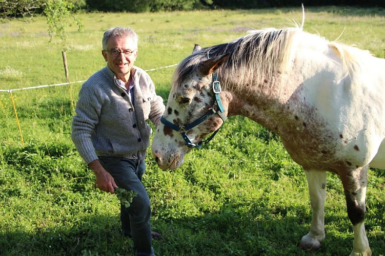avec mon cheval 2 2