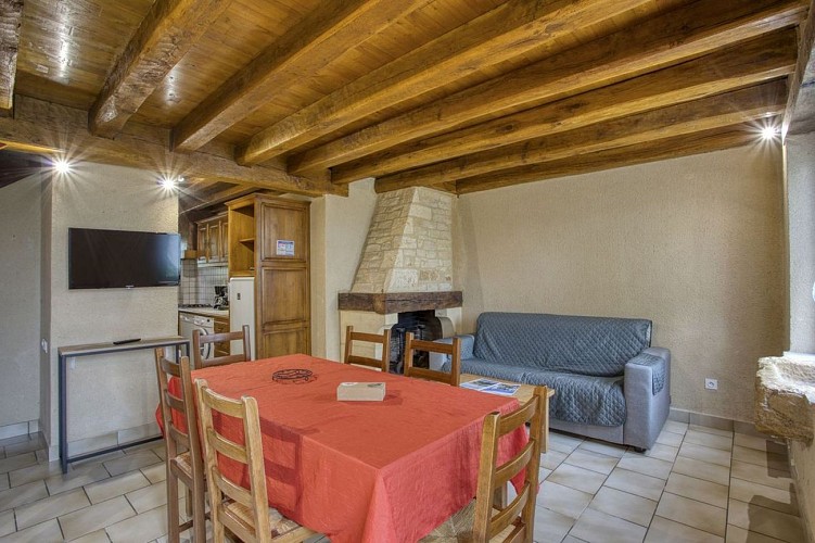 Corine2_sejour_salon - Village de gîtes Combas