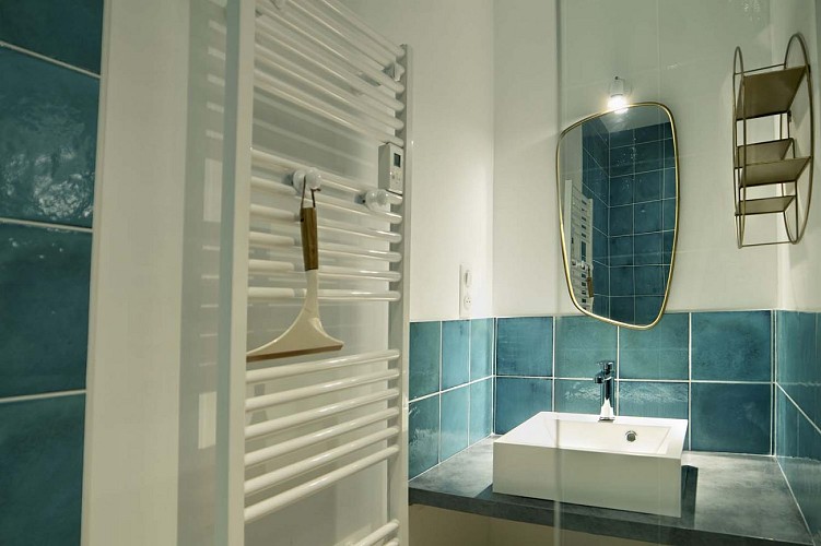 Gites Coucou - Saint-Geniès  (8)