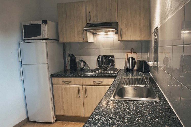 Gites Olivier - Saint-Geniès (5)