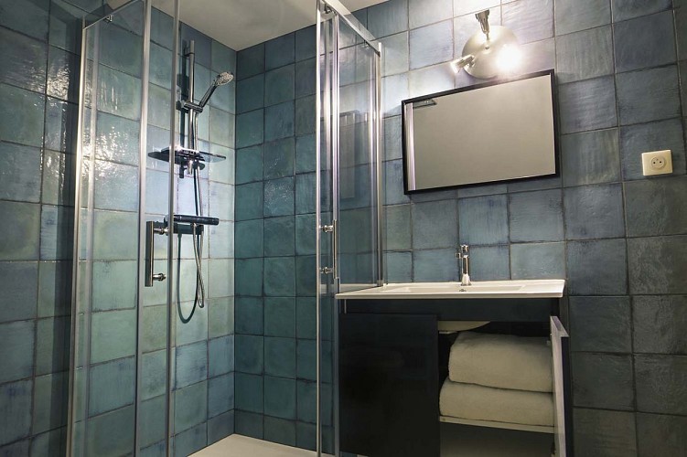 Gites Mansarde- Saint-Geniès (3)