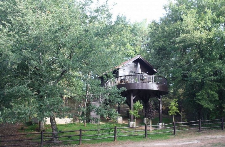 Cabane-le-rouge-gorge-2