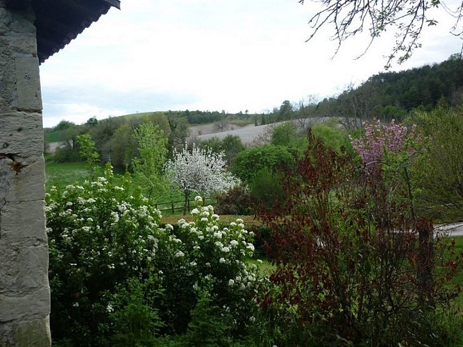 Gîte Cabosse - Montagrier (4)