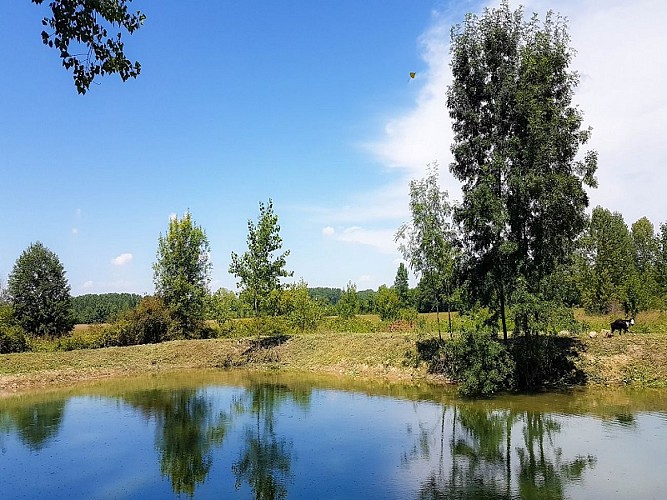 Gîte à l'Orée des Bois du Domaine de la Vallade
