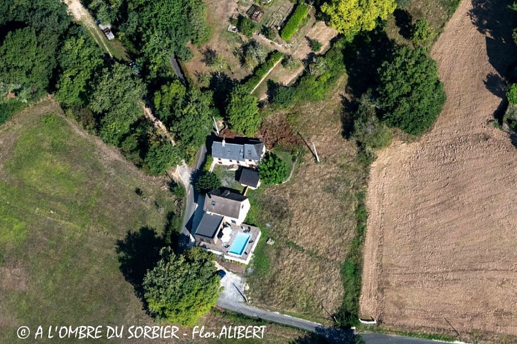 A L'ombre du Sorbier (3)