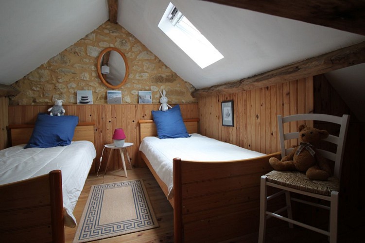 LES IRIS-CHRISTIANE-ST ANDREE D'ALLAS (9)