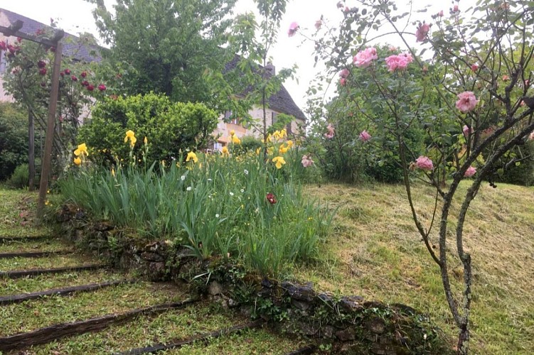 LES IRIS-CHRISTIANE-ST ANDREE D'ALLAS (1)