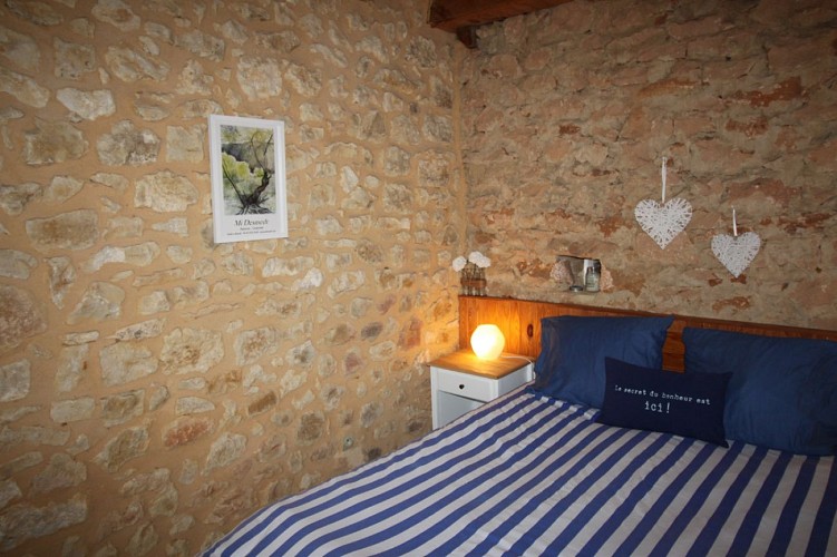 LES IRIS-CHRISTIANE-ST ANDREE D'ALLAS (7)