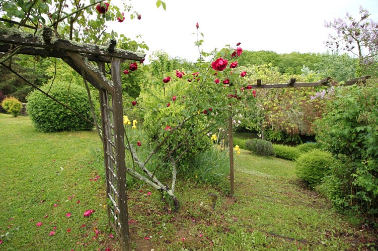 LES IRIS-CHRISTIANE-ST ANDREE D'ALLAS (10)