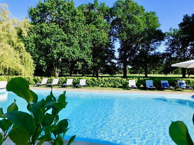 Piscine dans un écrin de verdure
