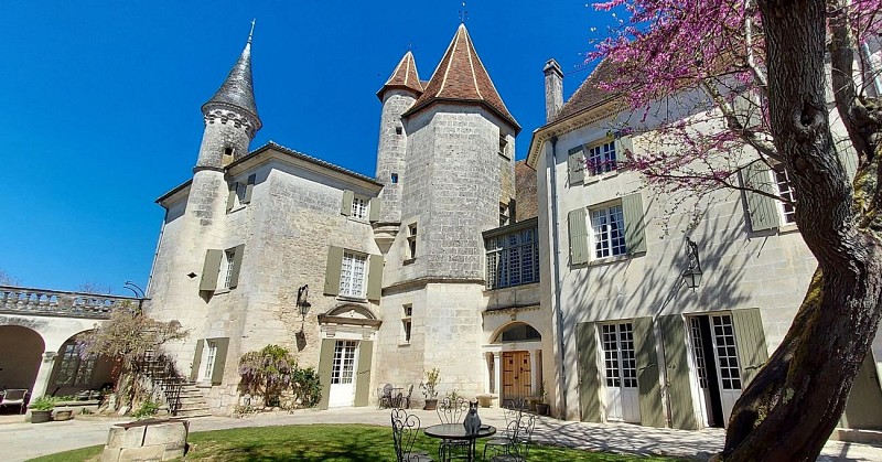 Gite Château des Sénéchaux