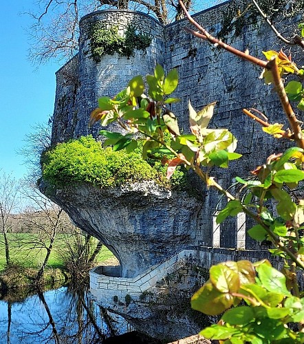 château des sénéchaux 5
