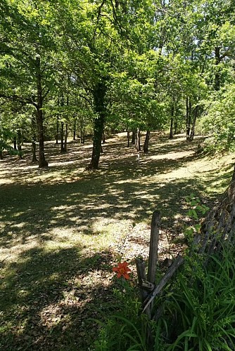 DOURLENT-CARSAC AILLAC (4)