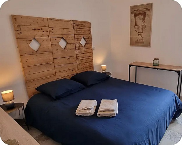 Bergier - Les Libellules (14)