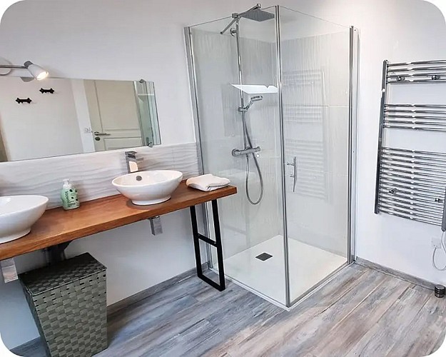 Bergier - Les Libellules (13)