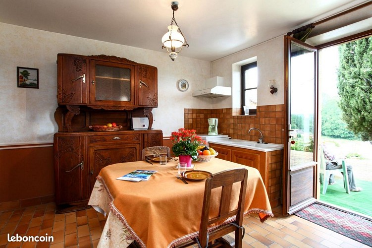 Fleurs de la feuillade - CHO1