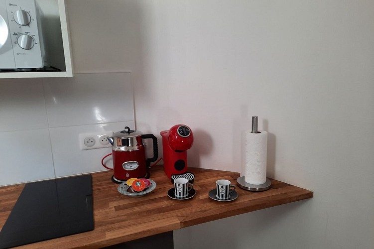 LASNIER APPART BEAUVAU 3 (7)