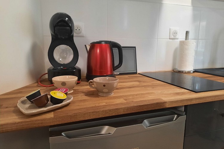 LASNIER-APPART BEAUVAU 7 (5)