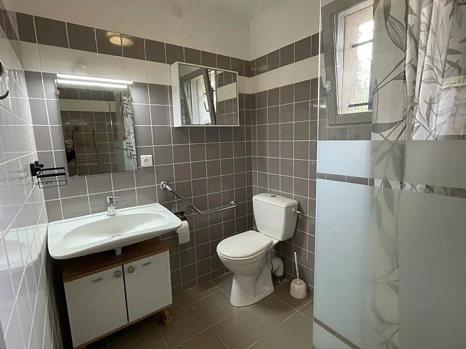 salle-de-douche-appart-cheminee_