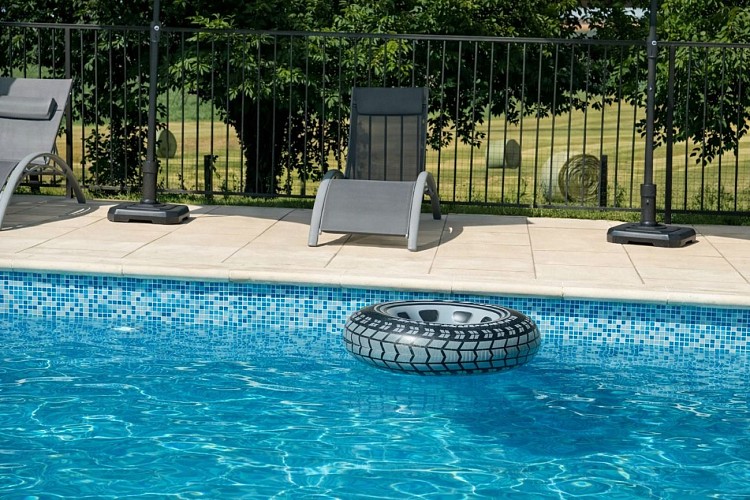 La Métairie des Gecheries - Champagne-Fontaine 2