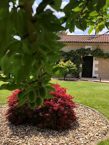 2025 Gite Il Glicines - Chassaignes (4)