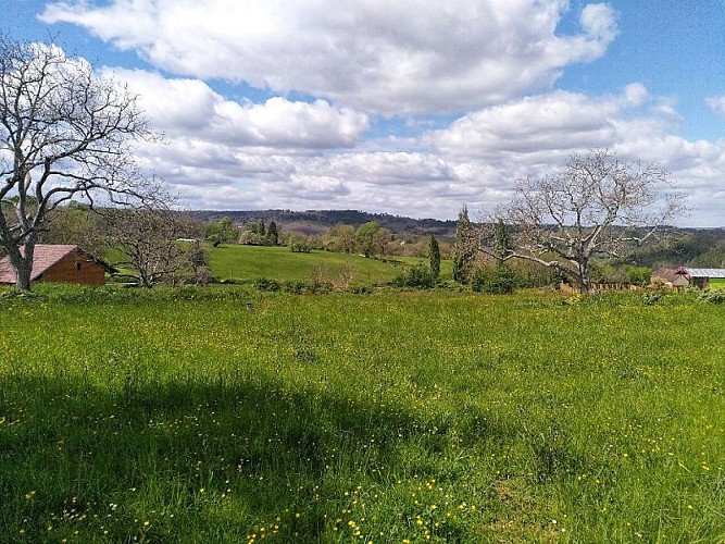 jardin de lyno - vue