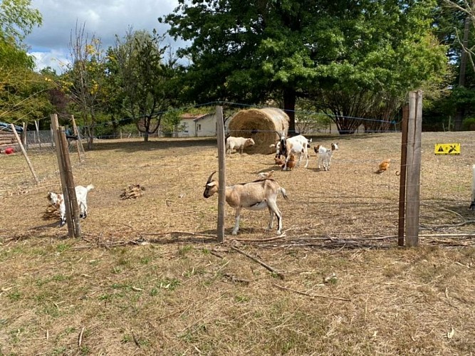 Par l'étang qui court