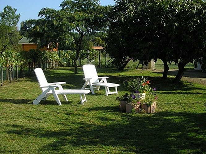 Lesparre - Mr NOAILLES2 (Copier)