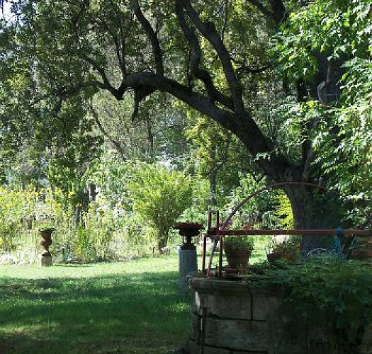 La Roulotte d'Ophélie