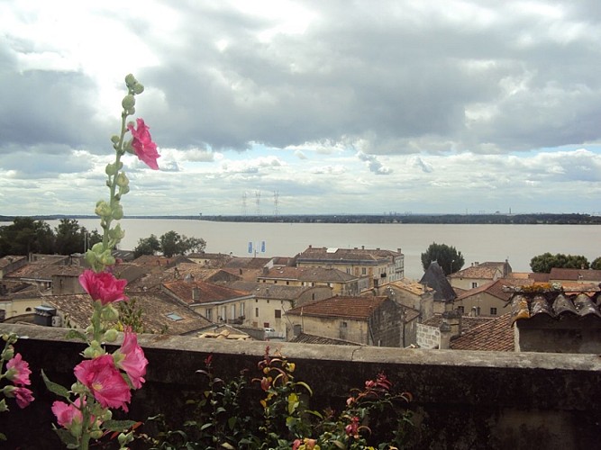 Gîte du Tertre_bourg_vue dordogne_800x600