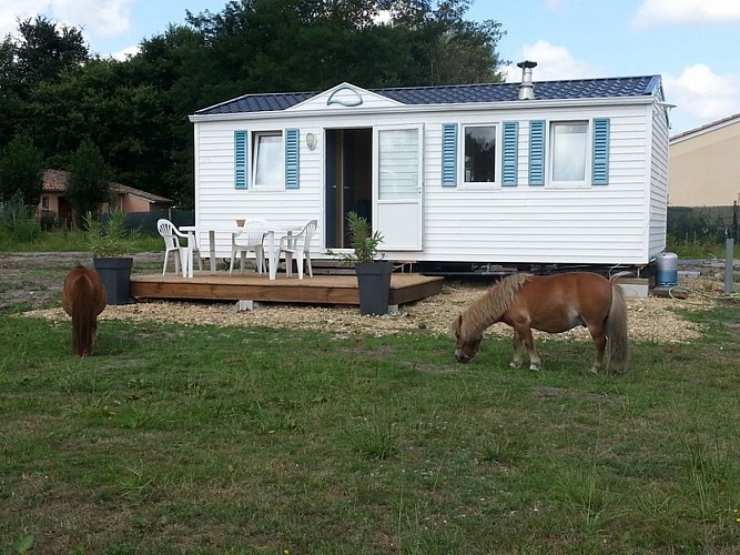 Ecuries du Lac d'Hostens - HOSTENS - Sud-Gironde