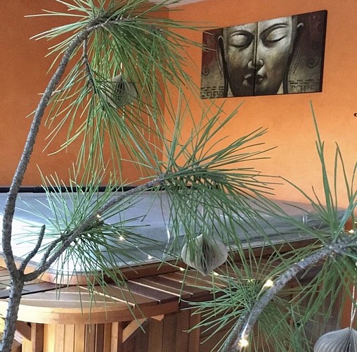 Domaine-de-la-Ronce-spa