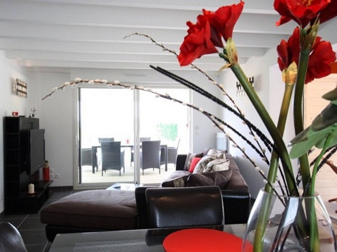 Domaine-de-la-Ronce-pièce de vie