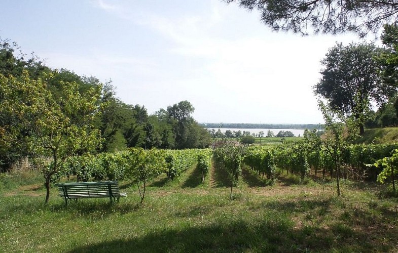 Gite-Tertre-de-Camillac-Bourg-800x600