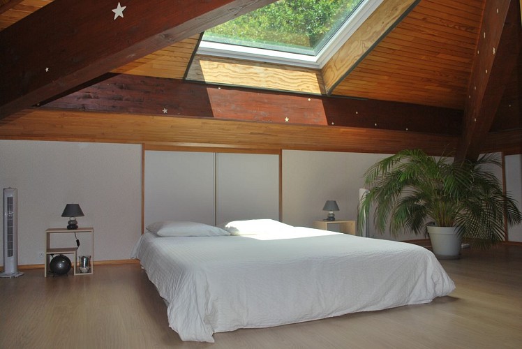 Mezzanine©Ph Betouigt