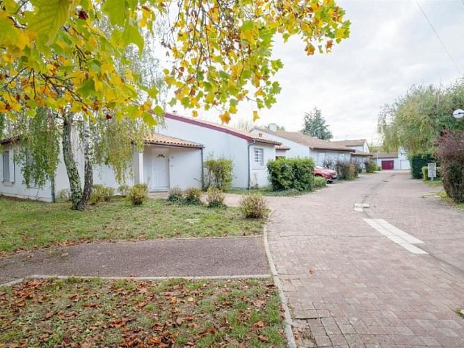 Carrelet de lEstuaire 