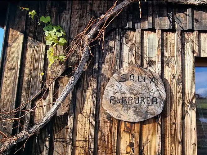 800*600 Sirtaqui - Gîte purpuréa SALIX (2)