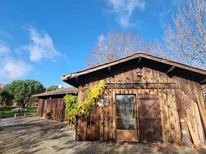 Gîte purpuréa SALIX