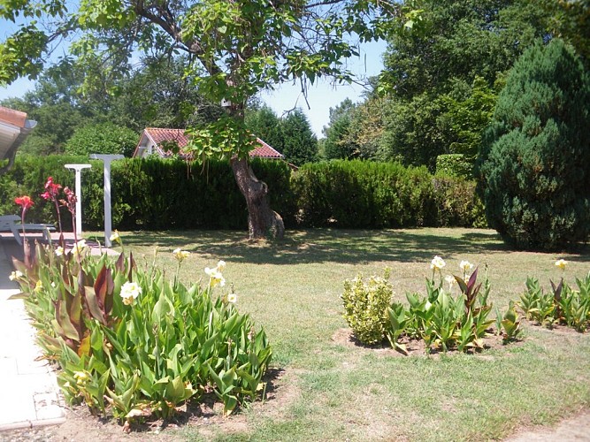 Alonso - jardin privé