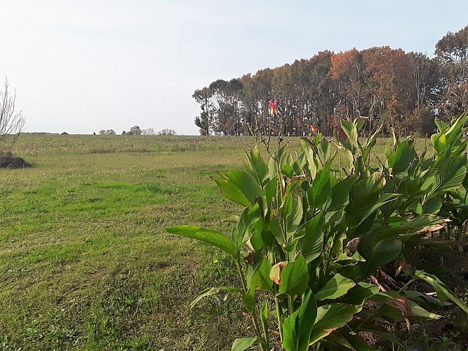 Vitte - vue jardin arrière