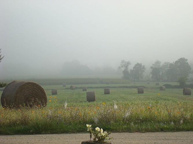 Pussacq -meules de foin (2)